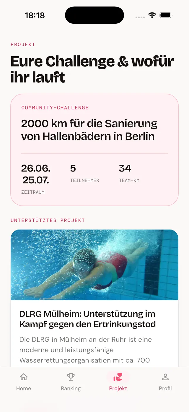 App: supported project and donation total